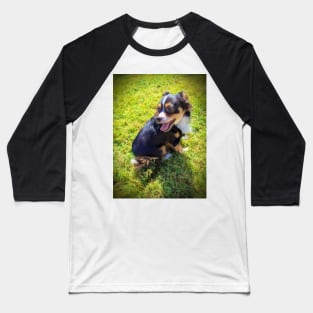 Puppy Curtness Baseball T-Shirt